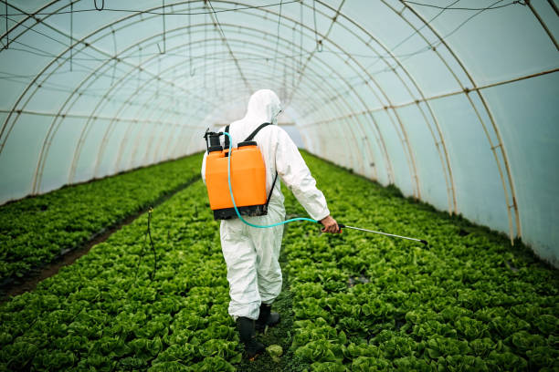 Best Pest Removal Services  in North Palm Beach, FL