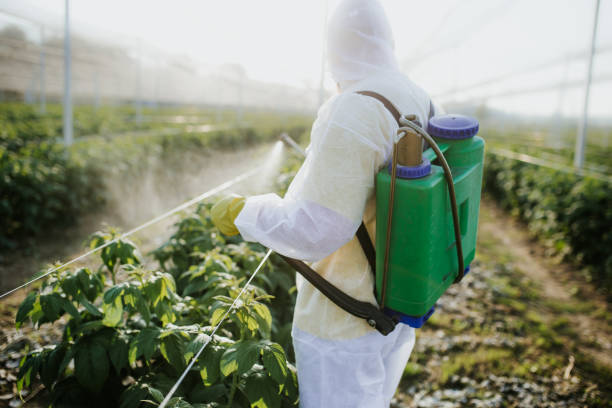 Insect Control in North Palm Beach, FL